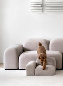 Pebble Pet Step